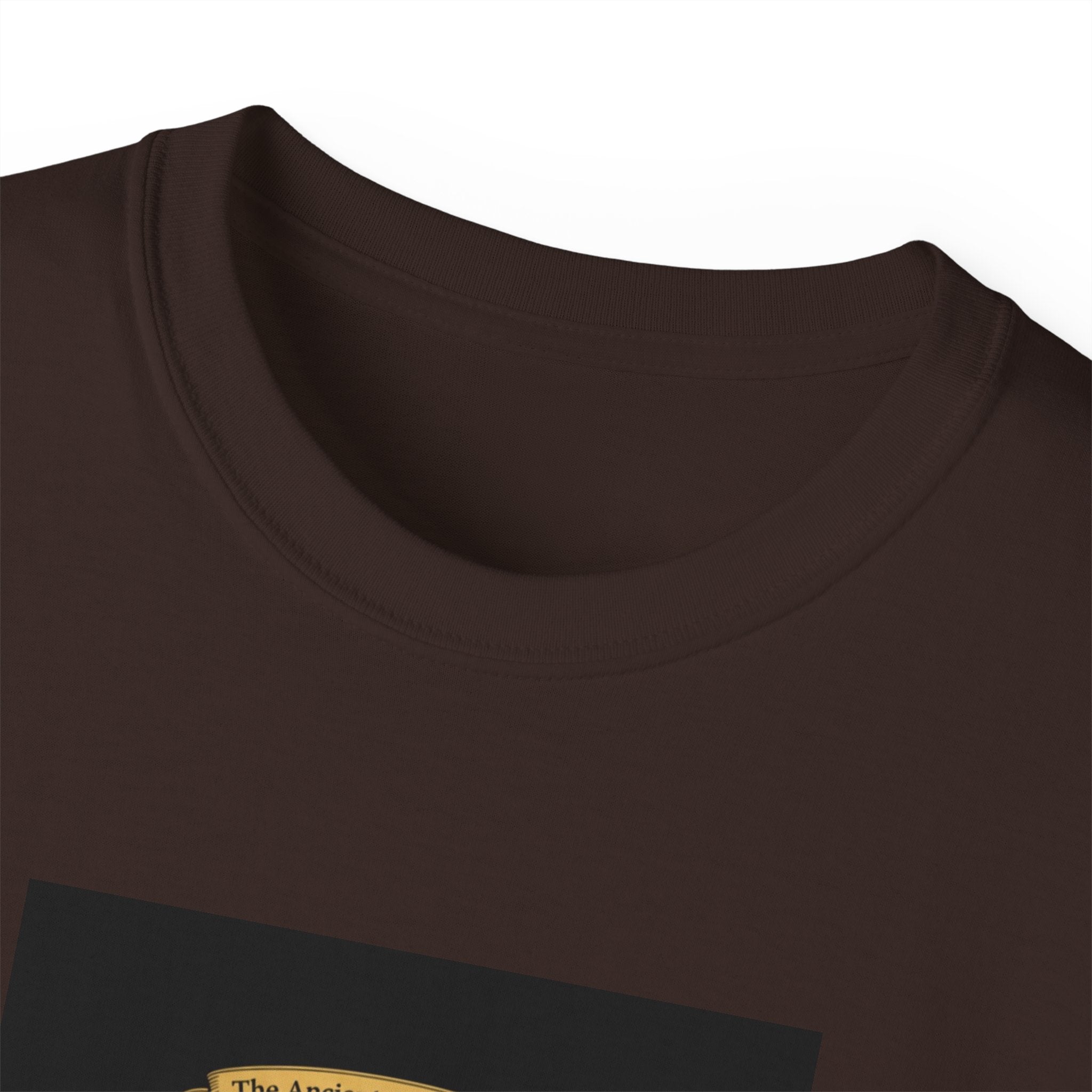 Irish Crest & 'One Lucky Viking' T-Shirt — Celtic Coat of Arms Tee