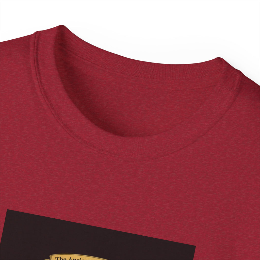 Irish Crest & 'One Lucky Viking' T-Shirt — Celtic Coat of Arms Tee