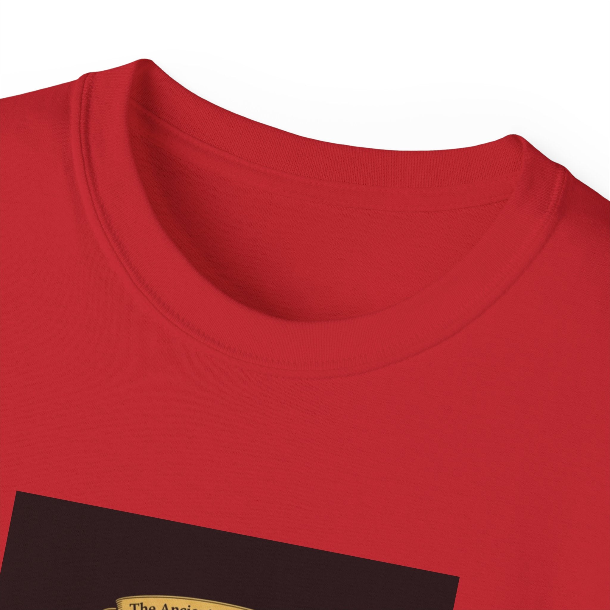 Irish Crest & 'One Lucky Viking' T-Shirt — Celtic Coat of Arms Tee