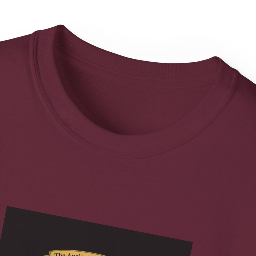 Irish Crest & 'One Lucky Viking' T-Shirt — Celtic Coat of Arms Tee