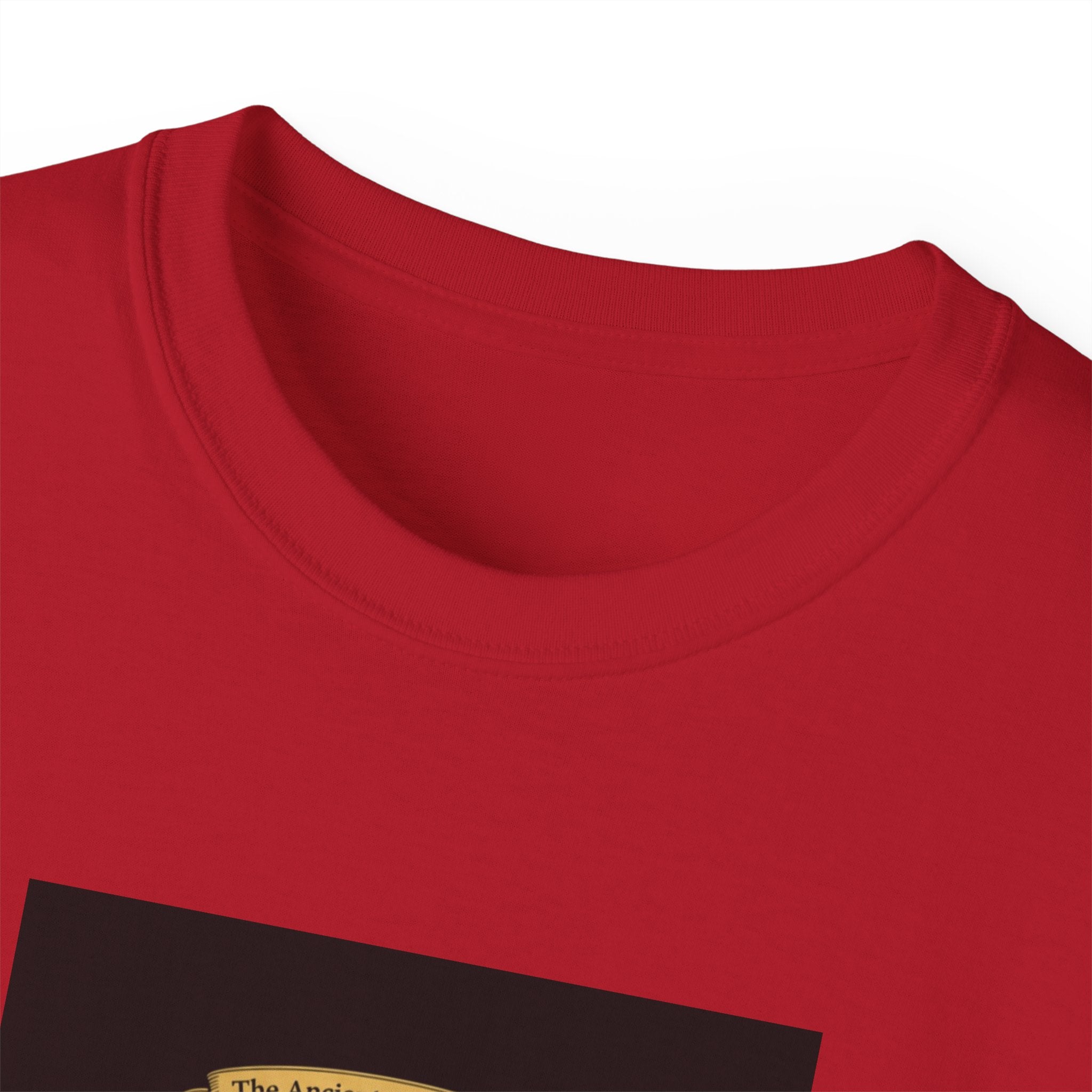 Irish Crest & 'One Lucky Viking' T-Shirt — Celtic Coat of Arms Tee